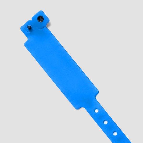 Pulsera de Vinil Bigband - Imagen 3